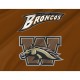 Western Michigan Broncos Flag for Indoor & Outdoor Use - Imagine 2